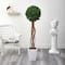 5ft. English Ivy Single Ball Artificial Topiary Tree in White Metal Planter UV Resistant (Indoor/Outdoor)